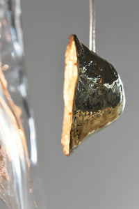 Capsula