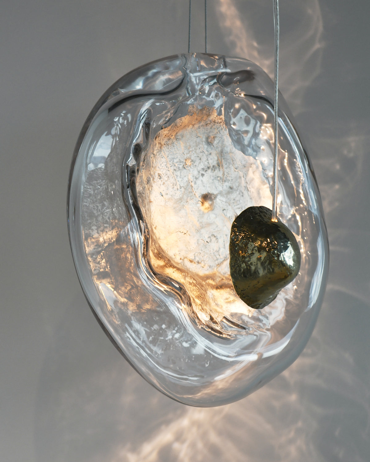 Capsula
