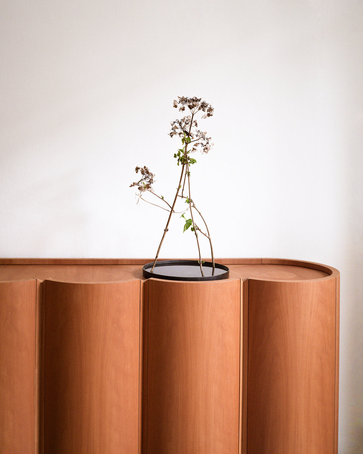 Siro Credenza
