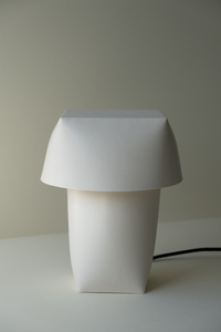 Flexible Formed Lamp