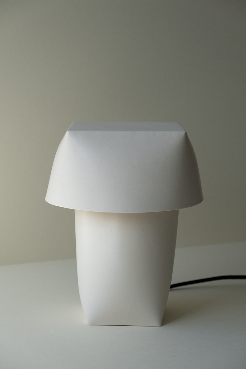 Flexible Formed Lamp