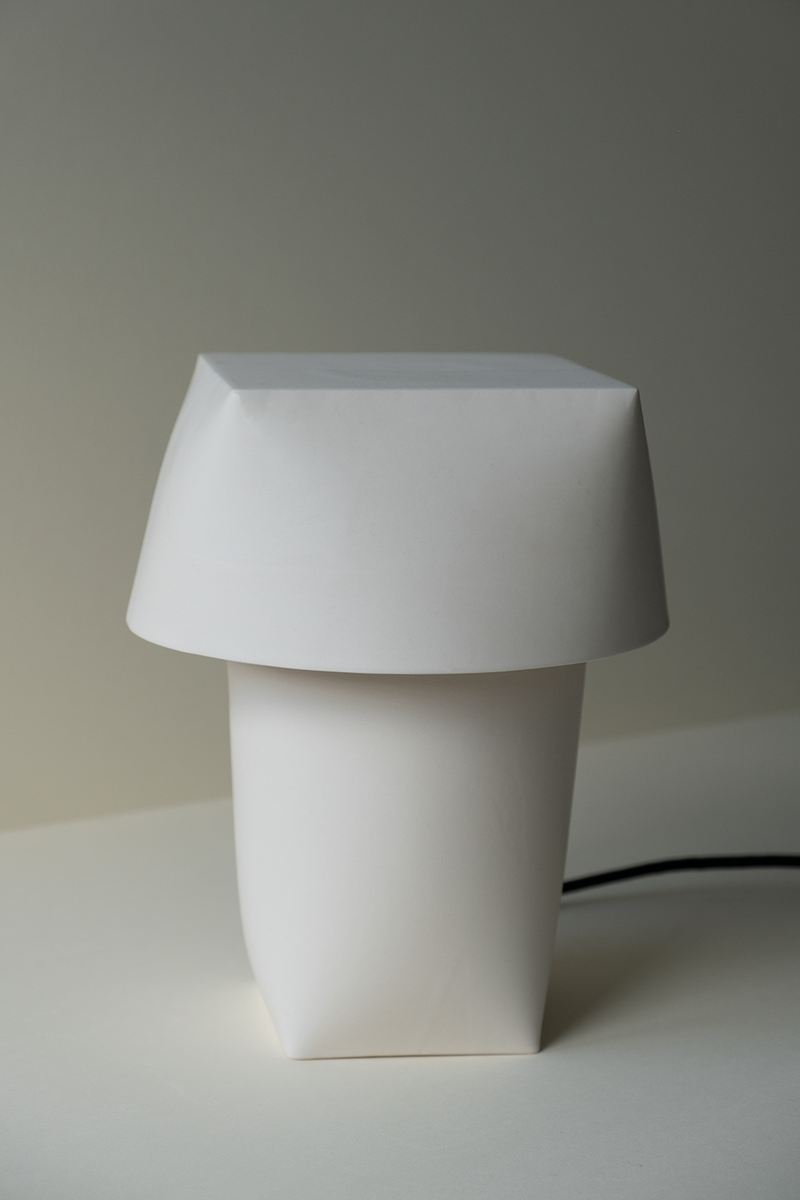 Flexible Formed Lamp