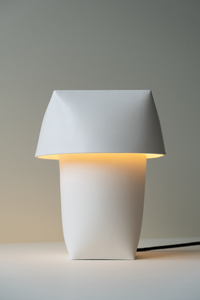 Flexible Formed Lamp