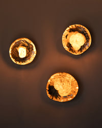 Life Synthetic Wall Sconce