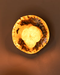 Life Synthetic Wall Sconce