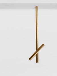 Pivot Ceiling Light