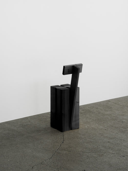 N08F015 object